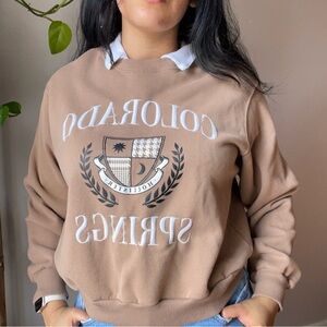 Hollister Brown Crew Neck Sweater